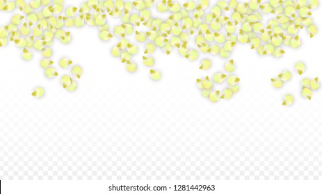 Vector Realistic Pink Petals Falling on Transparent Background.  Spring Romantic Flowers Illustration. Flying Petals. Sakura Spa Design.  Blossom Confetti. Design Elements for  Wedding Decoration.