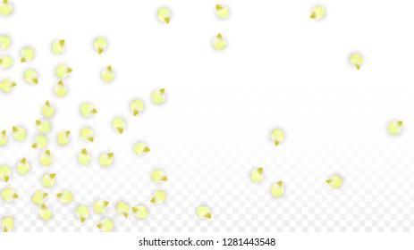 Vector Realistic Pink Petals Falling on Transparent Background.  Spring Romantic Flowers Illustration. Flying Petals. Sakura Spa Design.  Blossom Confetti. Design Elements for  Mother's Day.