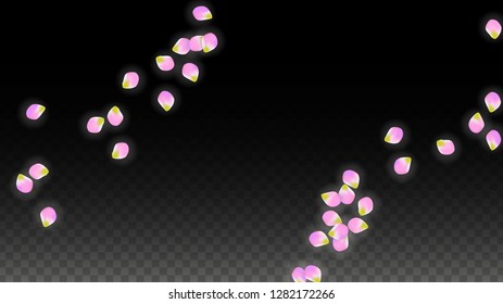 Vector Realistic Pink Petals Falling on Transparent Background.  Spring Romantic Flowers Illustration. Flying Petals. Sakura Spa Design.  Blossom Confetti. Design Elements for  8 March Card.