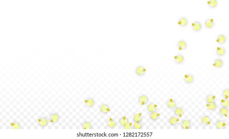 Vector Realistic Pink Petals Falling on Transparent Background.  Spring Romantic Flowers Illustration. Flying Petals. Sakura Spa Design.  Blossom Confetti. Design Elements for  8 March Card.