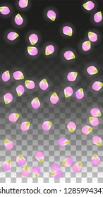 Vector Realistic Pink Petals Falling on Transparent Background.  Spring Romantic Flowers Illustration. Flying Petals. Sakura Spa Design.  Blossom Confetti. Design Elements for  8 March Card.
