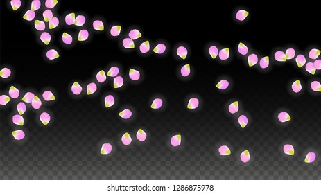 Vector Realistic Pink Petals Falling on Transparent Background.  Spring Romantic Flowers Illustration. Flying Petals. Sakura Spa Design.  Blossom Confetti. Design Elements for  St. Valentine Day.