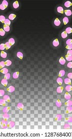 Vector Realistic Pink Petals Falling on Transparent Background.  Spring Romantic Flowers Illustration. Flying Petals. Sakura Spa Design.  Blossom Confetti. Design Elements for  St. Valentine Day.