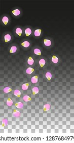 Vector Realistic Pink Petals Falling on Transparent Background.  Spring Romantic Flowers Illustration. Flying Petals. Sakura Spa Design.  Blossom Confetti. Design Elements for  St. Valentine Day.