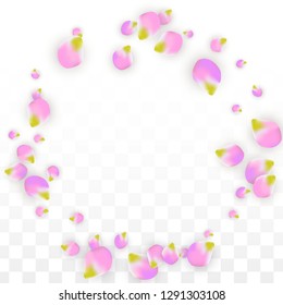 Vector Realistic Pink Petals Falling on Transparent Background.  Spring Romantic Flowers Illustration. Flying Petals. Sakura Spa Design.  Blossom Confetti. Design Elements for  Poster Design. 