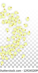 Vector Realistic Pink Petals Falling on Transparent Background.  Spring Romantic Flowers Illustration. Flying Petals. Sakura Spa Design.  Blossom Confetti. Design Elements for  St. Valentine Day.