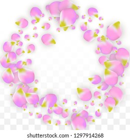 Vector Realistic Pink Petals Falling on Transparent Background.  Spring Romantic Flowers Illustration. Flying Petals. Sakura Spa Design.  Blossom Confetti. Design Elements for  Poster Design. 
