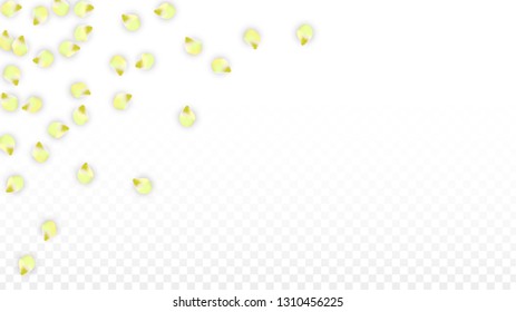 Vector Realistic Pink Petals Falling on Transparent Background.  Spring Romantic Flowers Illustration. Flying Petals. Sakura Spa Design.  Blossom Confetti. Design Elements for  Wedding Decoration.
