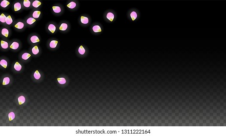 Vector Realistic Pink Petals Falling on Transparent Background.  Spring Romantic Flowers Illustration. Flying Petals. Sakura Spa Design.  Blossom Confetti. Design Elements for  St. Valentine Day.