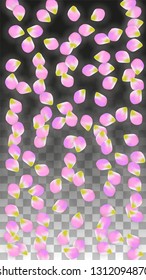 Vector Realistic Pink Petals Falling on Transparent Background.  Spring Romantic Flowers Illustration. Flying Petals. Sakura Spa Design.  Blossom Confetti. Design Elements for  Poster Design. 