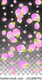 Vector Realistic Pink Petals Falling on Transparent Background.  Spring Romantic Flowers Illustration. Flying Petals. Sakura Spa Design.  Blossom Confetti. Design Elements for  Wedding Decoration.