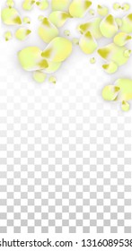 Vector Realistic Pink Petals Falling on Transparent Background.  Spring Romantic Flowers Illustration. Flying Petals. Sakura Spa Design.  Blossom Confetti. Design Elements for  St. Valentine Day.