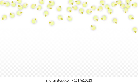 Vector Realistic Pink Petals Falling on Transparent Background.  Spring Romantic Flowers Illustration. Flying Petals. Sakura Spa Design.  Blossom Confetti. Design Elements for  St. Valentine Day.