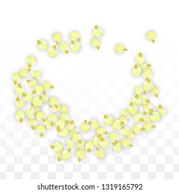 Vector Realistic Pink Petals Falling on Transparent Background.  Spring Romantic Flowers Illustration. Flying Petals. Sakura Spa Design.  Blossom Confetti. Design Elements for  St. Valentine Day.