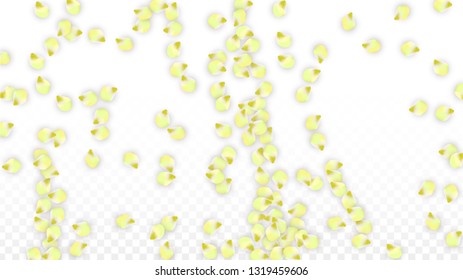 Vector Realistic Pink Petals Falling on Transparent Background.  Spring Romantic Flowers Illustration. Flying Petals. Sakura Spa Design.  Blossom Confetti. Design Elements for  Wedding Decoration.