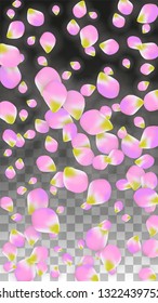 Vector Realistic Pink Petals Falling on Transparent Background.  Spring Romantic Flowers Illustration. Flying Petals. Sakura Spa Design.  Blossom Confetti. Design Elements for  Wedding Decoration.