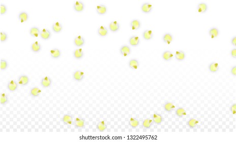 Vector Realistic Pink Petals Falling on Transparent Background.  Spring Romantic Flowers Illustration. Flying Petals. Sakura Spa Design.  Blossom Confetti. Design Elements for  Wedding Decoration.