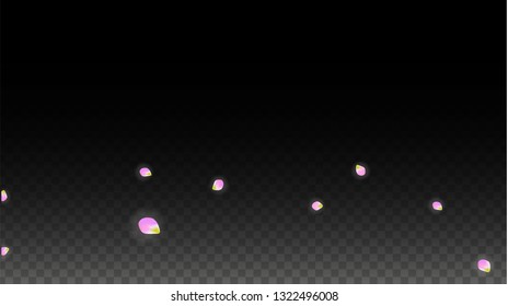 Vector Realistic Pink Petals Falling on Transparent Background.  Spring Romantic Flowers Illustration. Flying Petals. Sakura Spa Design.  Blossom Confetti. Design Elements for  Wedding Decoration.