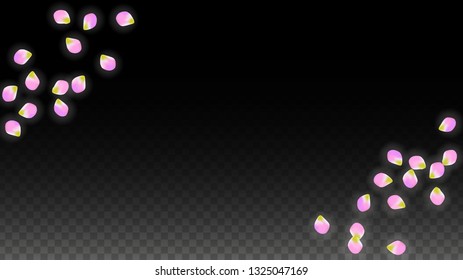 Vector Realistic Pink Petals Falling on Transparent Background.  Spring Romantic Flowers Illustration. Flying Petals. Sakura Spa Design.  Blossom Confetti. Design Elements for  Wedding Decoration.