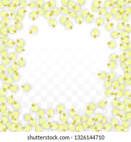Vector Realistic Pink Petals Falling on Transparent Background.  Spring Romantic Flowers Illustration. Flying Petals. Sakura Spa Design.  Blossom Confetti. Design Elements for  8 March Card.