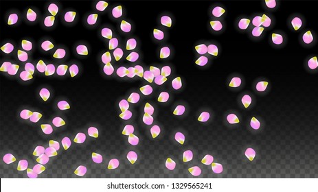 Vector Realistic Pink Petals Falling on Transparent Background.  Spring Romantic Flowers Illustration. Flying Petals. Sakura Spa Design.  Blossom Confetti. Design Elements for  Mother's Day.