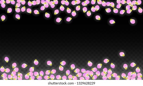 Vector Realistic Pink Petals Falling on Transparent Background.  Spring Romantic Flowers Illustration. Flying Petals. Sakura Spa Design.  Blossom Confetti. Design Elements for  Poster Design. 