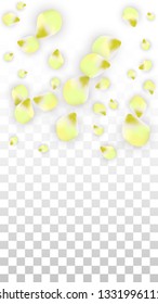 Vector Realistic Pink Petals Falling on Transparent Background.  Spring Romantic Flowers Illustration. Flying Petals. Sakura Spa Design.  Blossom Confetti. Design Elements for  8 March Card.