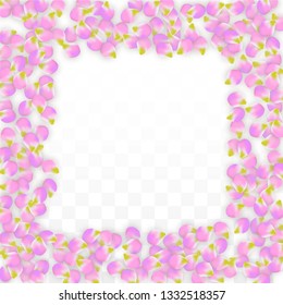 Vector Realistic Pink Petals Falling on Transparent Background.  Spring Romantic Flowers Illustration. Flying Petals. Sakura Spa Design.  Blossom Confetti. Design Elements for  Mother's Day.