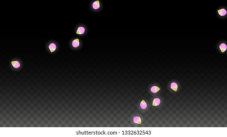 Vector Realistic Pink Petals Falling on Transparent Background.  Spring Romantic Flowers Illustration. Flying Petals. Sakura Spa Design.  Blossom Confetti. Design Elements for  Wedding Decoration.