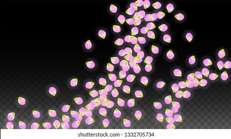 Vector Realistic Pink Petals Falling on Transparent Background.  Spring Romantic Flowers Illustration. Flying Petals. Sakura Spa Design.  Blossom Confetti. Design Elements for  Mother's Day.