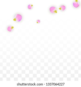 Vector Realistic Pink Petals Falling on Transparent Background.  Spring Romantic Flowers Illustration. Flying Petals. Sakura Spa Design.  Blossom Confetti. Design Elements for  Mother's Day.