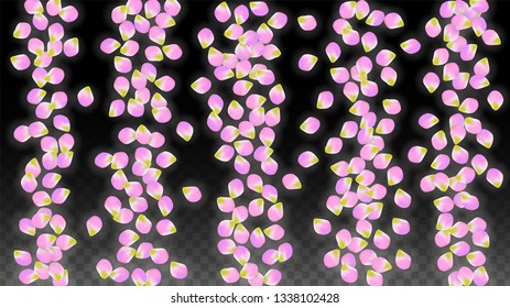 Vector Realistic Pink Petals Falling on Transparent Background.  Spring Romantic Flowers Illustration. Flying Petals. Sakura Spa Design.  Blossom Confetti. Design Elements for  St. Valentine Day.