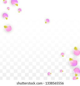 Vector Realistic Pink Petals Falling on Transparent Background.  Spring Romantic Flowers Illustration. Flying Petals. Sakura Spa Design.  Blossom Confetti. Design Elements for  Wedding Decoration.