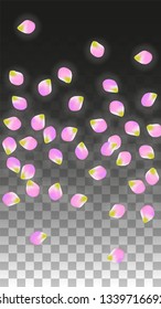 Vector Realistic Pink Petals Falling on Transparent Background.  Spring Romantic Flowers Illustration. Flying Petals. Sakura Spa Design.  Blossom Confetti. Design Elements for  8 March Card.