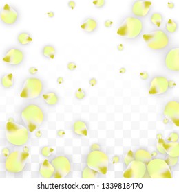 Vector Realistic Pink Petals Falling on Transparent Background.  Spring Romantic Flowers Illustration. Flying Petals. Sakura Spa Design.  Blossom Confetti. Design Elements for  Mother's Day.
