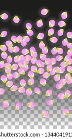Vector Realistic Pink Petals Falling on Transparent Background.  Spring Romantic Flowers Illustration. Flying Petals. Sakura Spa Design.  Blossom Confetti. Design Elements for  Poster Design. 