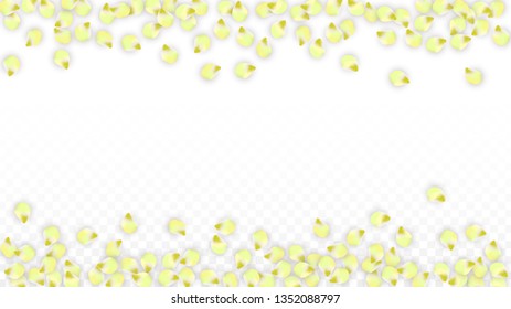 Vector Realistic Pink Petals Falling on Transparent Background.  Spring Romantic Flowers Illustration. Flying Petals. Sakura Spa Design.  Blossom Confetti. Design Elements for  8 March Card.
