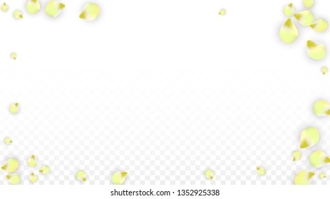 Vector Realistic Pink Petals Falling on Transparent Background.  Spring Romantic Flowers Illustration. Flying Petals. Sakura Spa Design.  Blossom Confetti. Design Elements for  Mother's Day.
