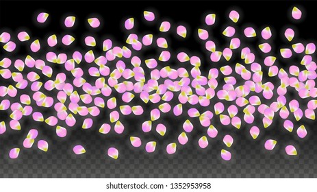 Vector Realistic Pink Petals Falling on Transparent Background.  Spring Romantic Flowers Illustration. Flying Petals. Sakura Spa Design.  Blossom Confetti. Design Elements for  8 March Card.