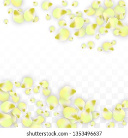 Vector Realistic Pink Petals Falling on Transparent Background.  Spring Romantic Flowers Illustration. Flying Petals. Sakura Spa Design.  Blossom Confetti. Design Elements for  St. Valentine Day.