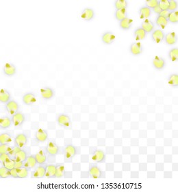 Vector Realistic Pink Petals Falling on Transparent Background.  Spring Romantic Flowers Illustration. Flying Petals. Sakura Spa Design.  Blossom Confetti. Design Elements for  Mother's Day.