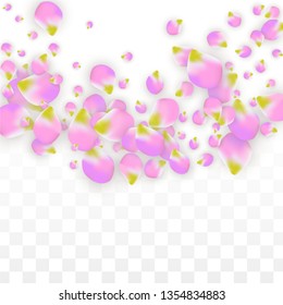 Vector Realistic Pink Petals Falling on Transparent Background.  Spring Romantic Flowers Illustration. Flying Petals. Sakura Spa Design.  Blossom Confetti. Design Elements for  8 March Card.