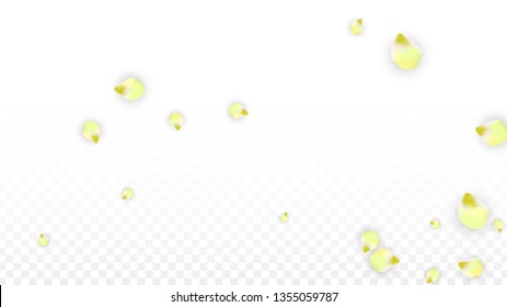 Vector Realistic Pink Petals Falling on Transparent Background.  Spring Romantic Flowers Illustration. Flying Petals. Sakura Spa Design.  Blossom Confetti. Design Elements for  8 March Card.
