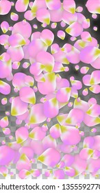 Vector Realistic Pink Petals Falling on Transparent Background.  Spring Romantic Flowers Illustration. Flying Petals. Sakura Spa Design.  Blossom Confetti. Design Elements for  Wedding Decoration.