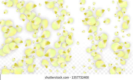 Vector Realistic Pink Petals Falling on Transparent Background.  Spring Romantic Flowers Illustration. Flying Petals. Sakura Spa Design.  Blossom Confetti. Design Elements for  Mother's Day.