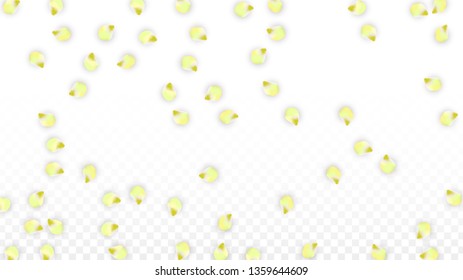 Vector Realistic Pink Petals Falling on Transparent Background.  Spring Romantic Flowers Illustration. Flying Petals. Sakura Spa Design.  Blossom Confetti. Design Elements for  St. Valentine Day.