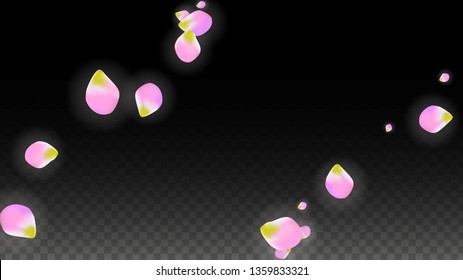 Vector Realistic Pink Petals Falling on Transparent Background.  Spring Romantic Flowers Illustration. Flying Petals. Sakura Spa Design.  Blossom Confetti. Design Elements for  Mother's Day.