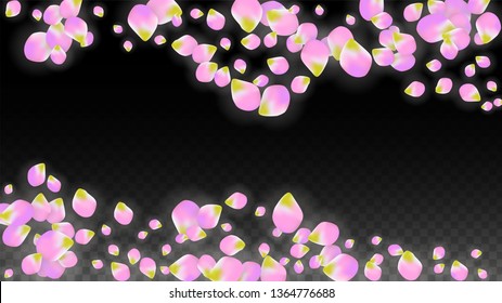 Vector Realistic Pink Petals Falling on Transparent Background.  Spring Romantic Flowers Illustration. Flying Petals. Sakura Spa Design.  Blossom Confetti. Design Elements for  Poster Design. 
