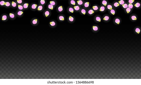 Vector Realistic Pink Petals Falling on Transparent Background.  Spring Romantic Flowers Illustration. Flying Petals. Sakura Spa Design.  Blossom Confetti. Design Elements for  Mother's Day.
