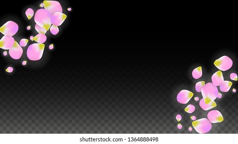 Vector Realistic Pink Petals Falling on Transparent Background.  Spring Romantic Flowers Illustration. Flying Petals. Sakura Spa Design.  Blossom Confetti. Design Elements for  Mother's Day.